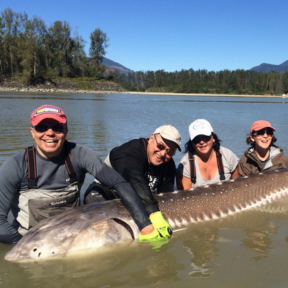 sturgeon fishing Canada